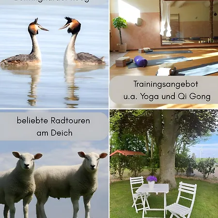 Apartmán Haevn-erholung, Deichblick